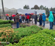 Exkursion Fehrle Gärten