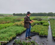 Exkursion Fehrle Gärten