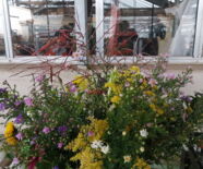 Exkursion Fehrle-Gärten