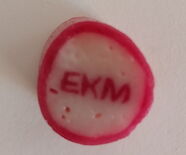 13 EKMFK 2026 Standdienst, Foto EKMFK